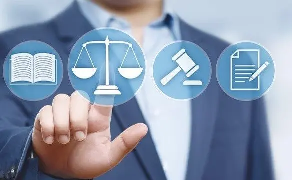 Lawyers in the Digital Age United States and Technology Law